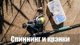 С 