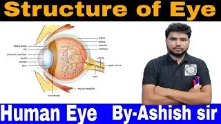 Structure of human Eye|| Human eye and Colourful world|| Human eye || By-Ashish sir