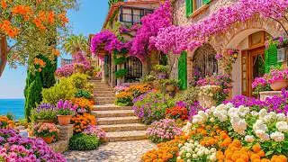 You’ll Forget Your Stress Here 🌿 Dreamy Mediterranean Flower Streets in Full Bloom