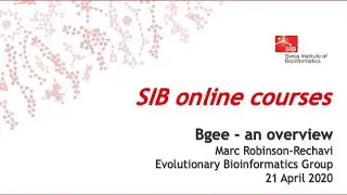 Bgee - an overview