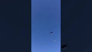 Балакший Григорий