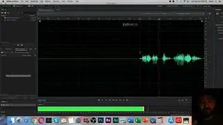 Creating a Multitrack Session in Adobe Audition 2020 TUTORIAL