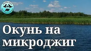 В поисках окуня. Ладога  2019.