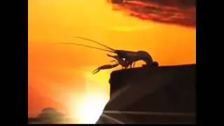 рак на горе свистнул😳😳😳😳