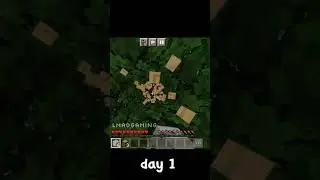 my new Minecraft SMP #minecraft #short #smp