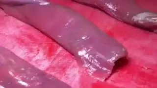 Очень крутой шашлык! Филе баранины с курдюком