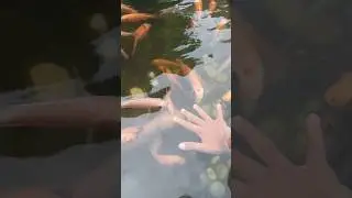 Jarinya digigit ikan 