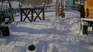 снег 2020