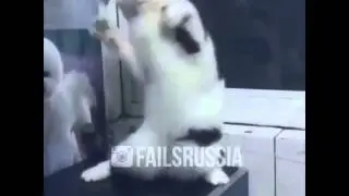 Женщина я не танцую - Прикол