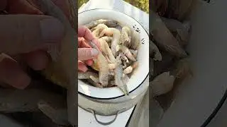 Лучшая наживка на щуку
