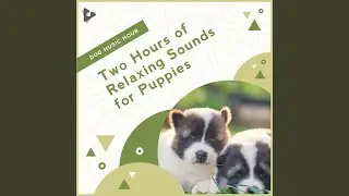 Relaxing Instrumental for Dogs