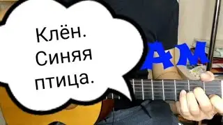 Клён. Синяя птица. Аккорды для гитары.