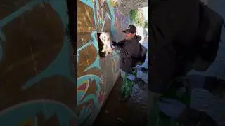Собачку бросили в пустынном месте #animalshorts