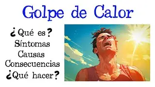 🔥 ¿Qué es un Golpe de Calor? 🔥 [Fácil y Rápido] | BIOLOGÍA |