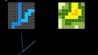 What are raster and vector data?