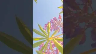 Life is кайф