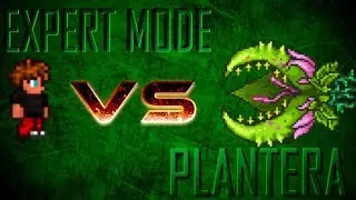 How To Defeat Plantera in Expert Mode on Terraria | Plantera EXPERT Mode Guide! How to Kill Plantera