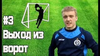 Лови хорошо! №3 Выход из ворот