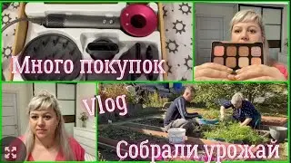 Vlog/Покупки и про мужа не забыла/Золотое яблоко, Яндекс маркет, жизнь март,фикс прайс, светофор,др