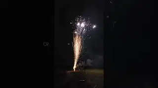 Peacock Dance Wowstar Fireworks Multicolor Crackling Skyshot #Diwali2024 #Sivakasicrackers #Crackers