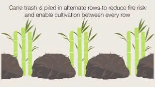 Proyektubo: Sugarcane Trash Farming