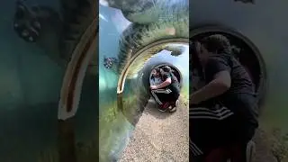 Brutal Crocodile tunnel 😬.       