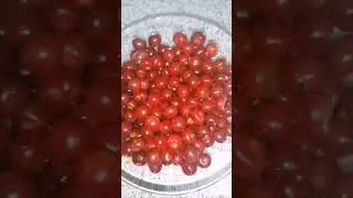 компот из вишни #семьябезкомплексов #деревенскаяжизнь #лето #отдых #pigeon