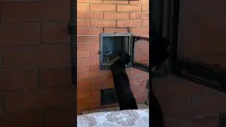 Хозяин, что так холодно, не пора ли дровишки подкинуть