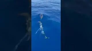 Египет, Красное море