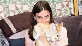 Do Fennec Foxes Smell?