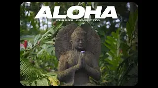 Flavor Colectivo - Aloha (Video Oficial) | Exotic Paradise E.P