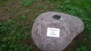 Poidelko dla ptakow