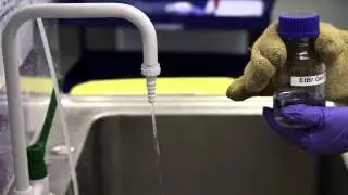 How to make an agarose gel