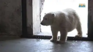 Зоопарку 6 лет!