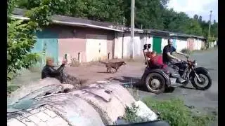 Веселые старты