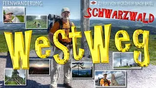 Schwarzwald - Mein WESTWEG  - 294 km komplett - Black Forest - Thru Hike