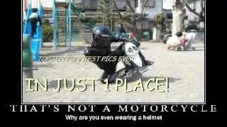 Top Ten Funniest Pics Ever