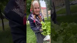 Купил у бабушки всё
