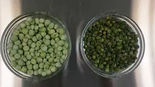 Freeze Dried vs Dehydrated Foods: 10 Game-Changing Differences You Need to Know!