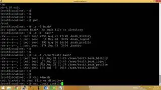 shell Script & bash_profile linux