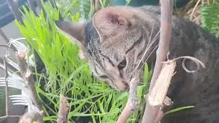 Ну ОЧЕНЬ Вкусно )