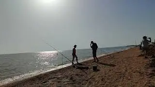 пеленгас