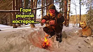 Ароматное чаепитие у костра. Поход с собакой Ритой на костёр.