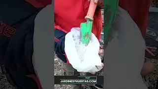 Tierra de diatomeas