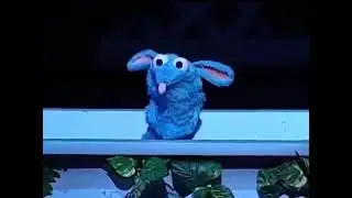 Bear In The Big Blue House Live Where are my friends