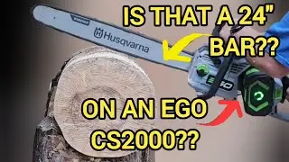 Ego CS2000 w 24