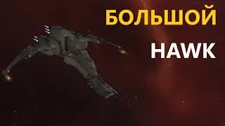 Большой Hawk в тылу врага