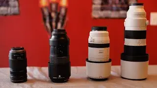 Telephoto Zoom Lens Comparison Canon 100-500 vs Sony 200-600 vs Olympus 100-400 vs Panasonic 100-300