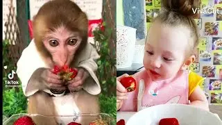 Cute video | Baby and baby monkey 7.4.21