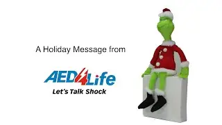 A Holiday Message from BERRN Consulting/AED4Life